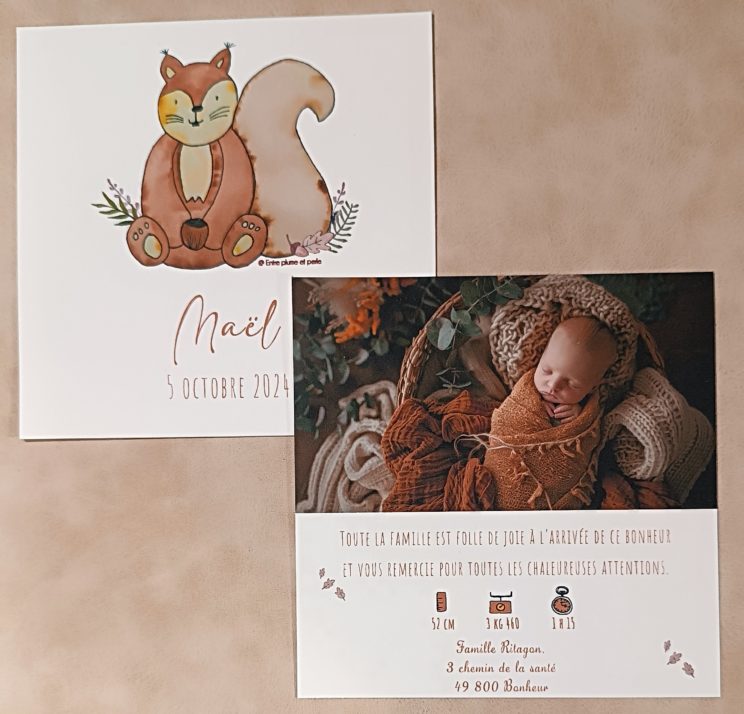 faire part naissance ecureuil foret aquarelle